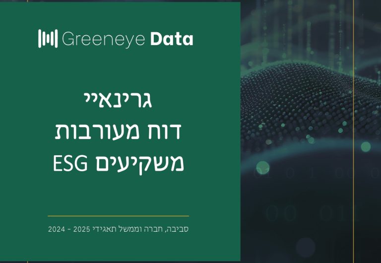 מעורבות משקיעים 2024-2025